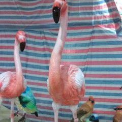 玻璃鋼火烈鳥雕塑，仿真火烈鳥雕塑
