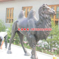 銅雕駱駝，公園動物銅雕