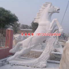 石雕馬，漢白玉馬雕塑，馬踏祥云石雕