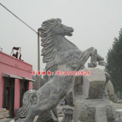 廣場立馬石雕，青石動(dòng)物雕塑