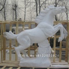 漢白玉石雕馬，廣場(chǎng)石馬雕塑