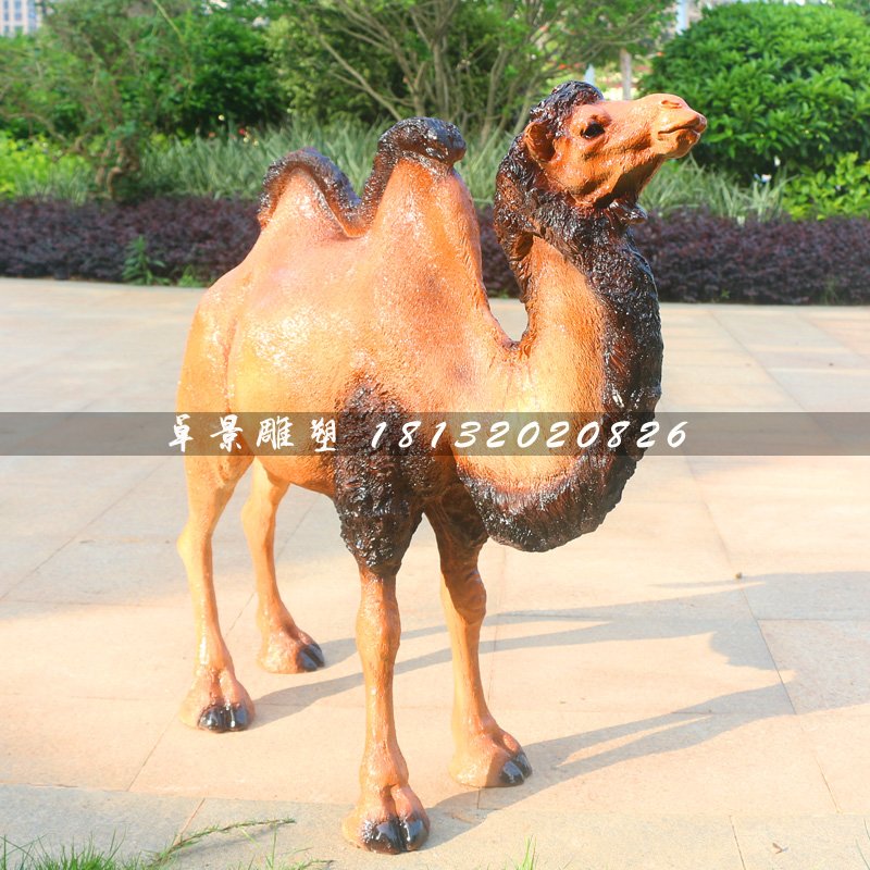 駱駝雕塑，動物玻璃鋼動物 (3)