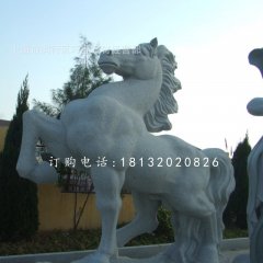 石雕馬，廣場動物石雕